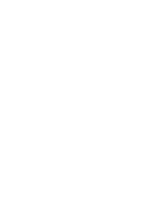 specification_mini_whats_in_the_box_kickstand