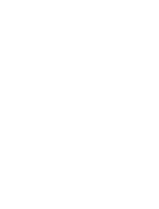 specification_mini_whats_in_the_box_starlink_plug
